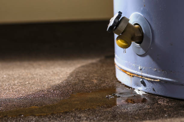 Best Local water damage restoration  in Stonegate, CO
