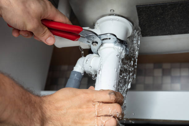 Best Mold removal after water damage  in Stonegate, CO
