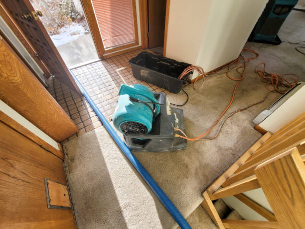 Best Flood restoration services  in Stonegate, CO