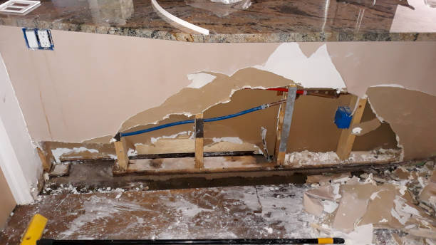Best Professional water damage repair  in Stonegate, CO