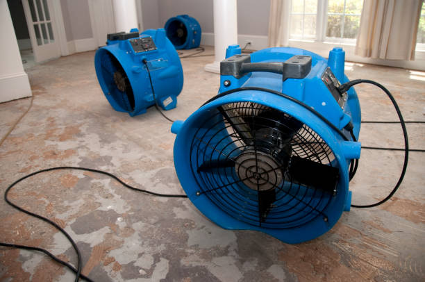 Water damage restoration mold remediation in Stonegate, CO