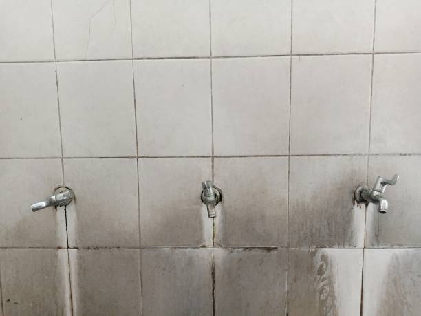 Best Fire Damage Restoration  in Stonegate, CO