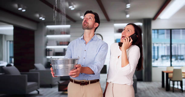 Best Basement water damage restoration  in Stonegate, CO